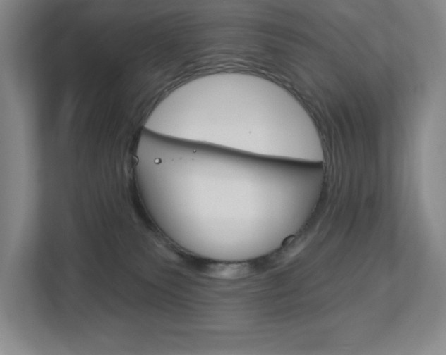X0000113180135200909041002