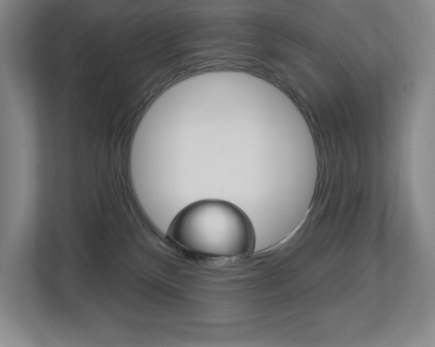 X0000113180136200909041002