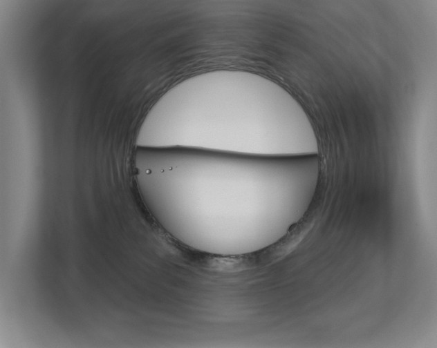 X0000113180139200909041002