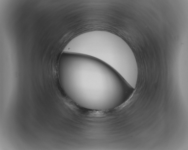X0000113180140200909041002