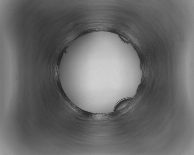 X0000113180141200909041002
