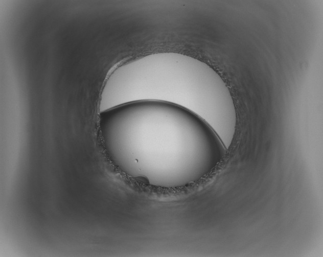 X0000113180144200909041002