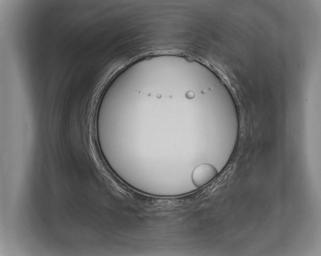 X0000113180145200909041001