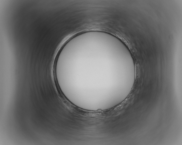 X0000113180147200909041001