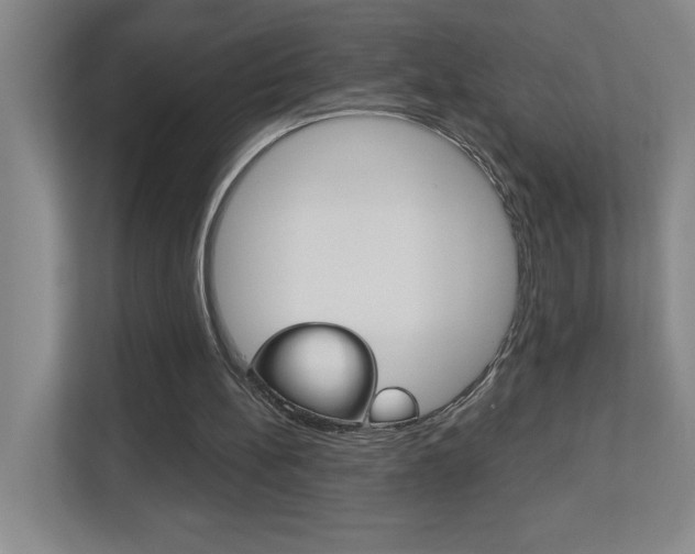 X0000113180148200909041001