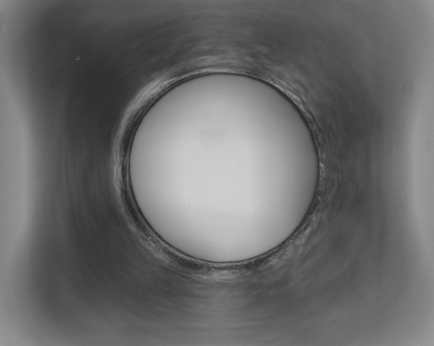 X0000113180149200909041001