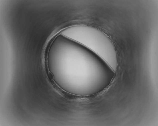 X0000113180150200909041001