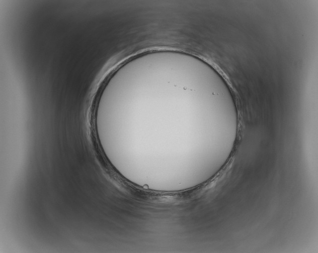 X0000113180151200909041001