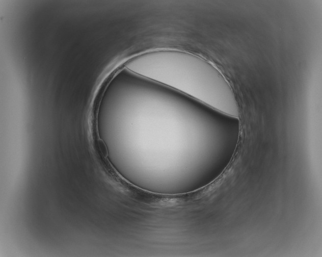 X0000113180152200909041001