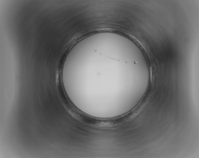 X0000113180157200909041001