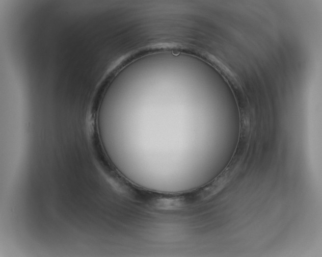 X0000113180160200909041001