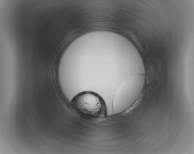 X0000113180162200909041001