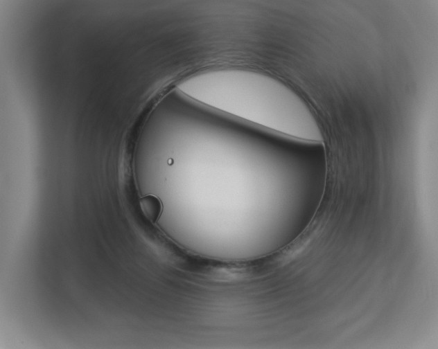 X0000113180164200909041001