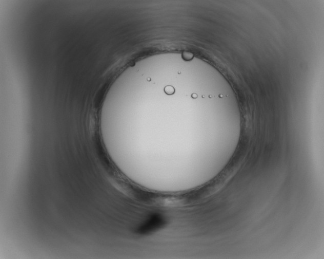 X0000113180165200909041001