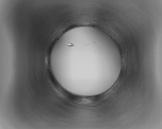 X0000113180166200909041001