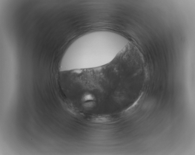 X0000113180171200909041001