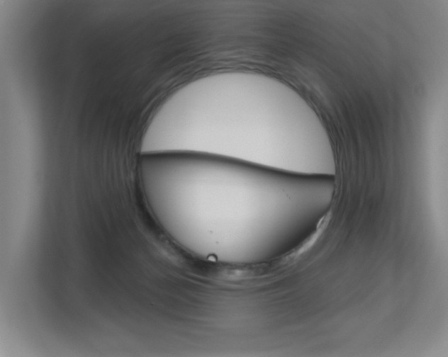X0000113180174200909041001
