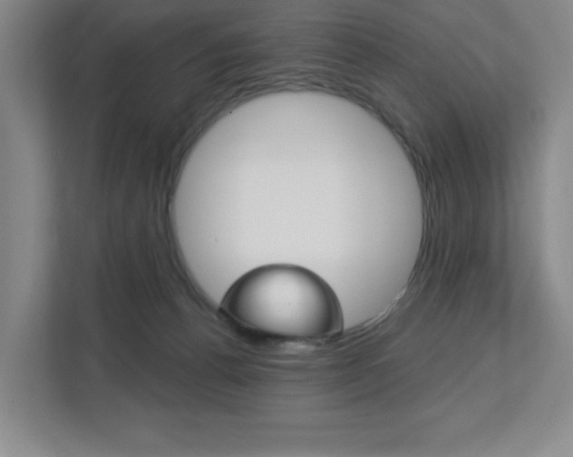 X0000113180176200909041001