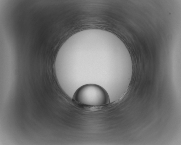 X0000113180184200909041001