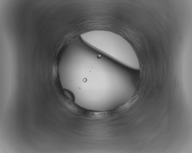 X0000113180188200909041002