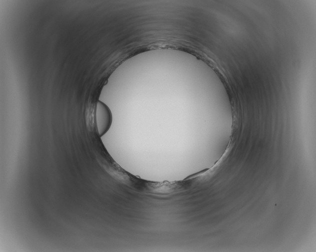 X0000113180191200909041002