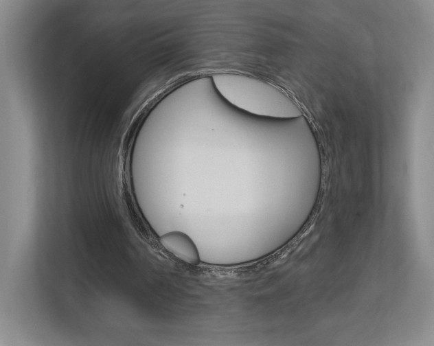 X0000113180194200909041001