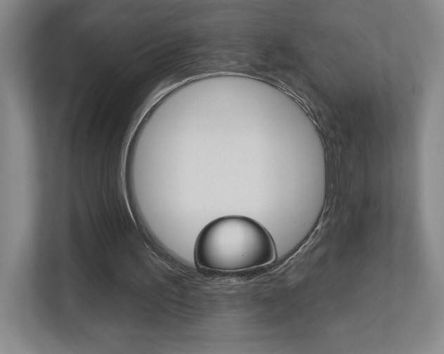X0000113180195200909041001