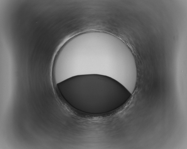 X0000113180196200909041001