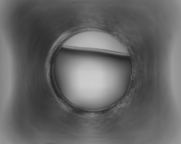 X0000113180197200909041001