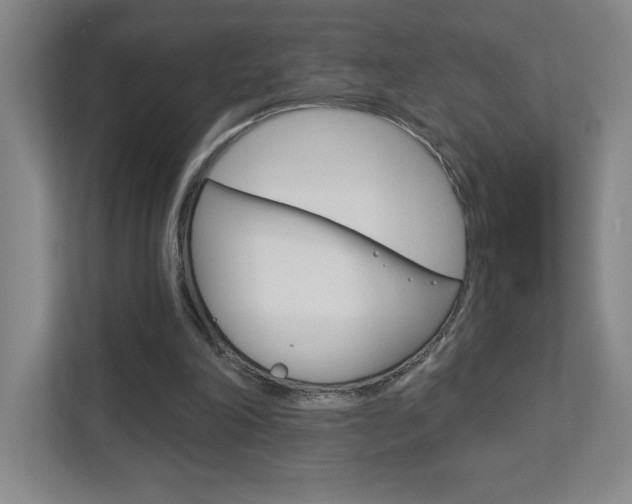X0000113180198200909041001