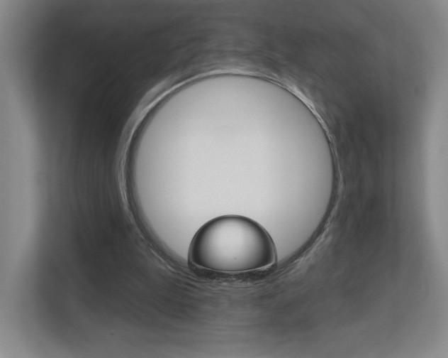 X0000113180199200909041001