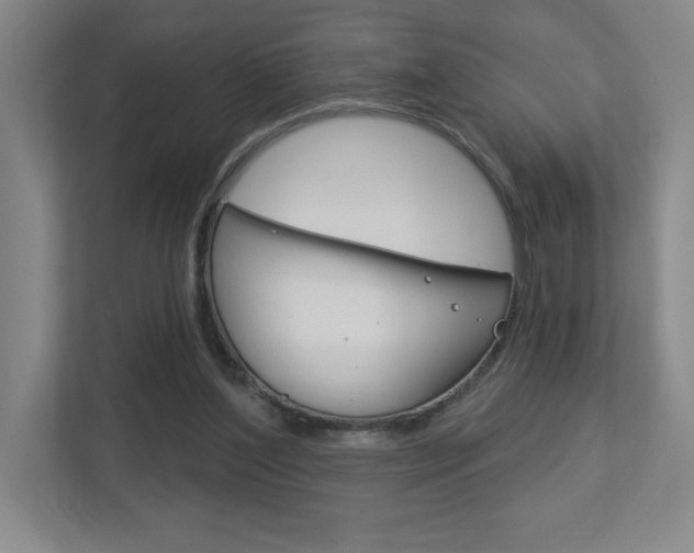 X0000113180204200909041001