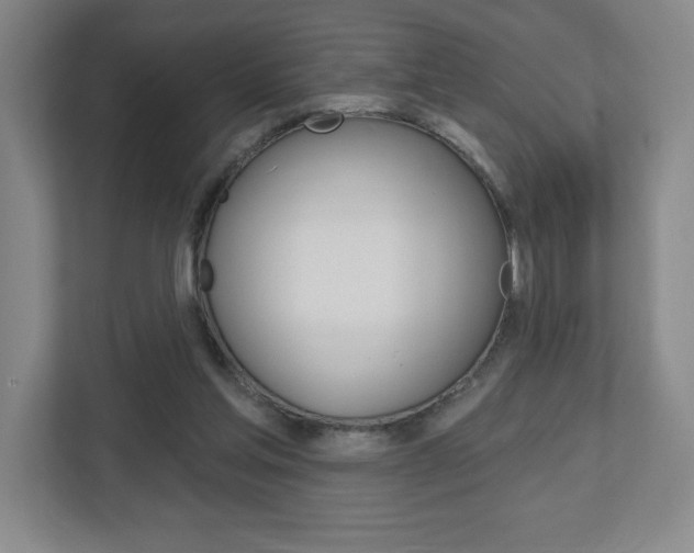 X0000113180205200909041001