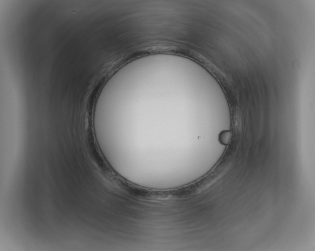 X0000113180206200909041001
