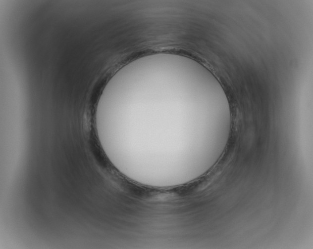 X0000113180210200909041001