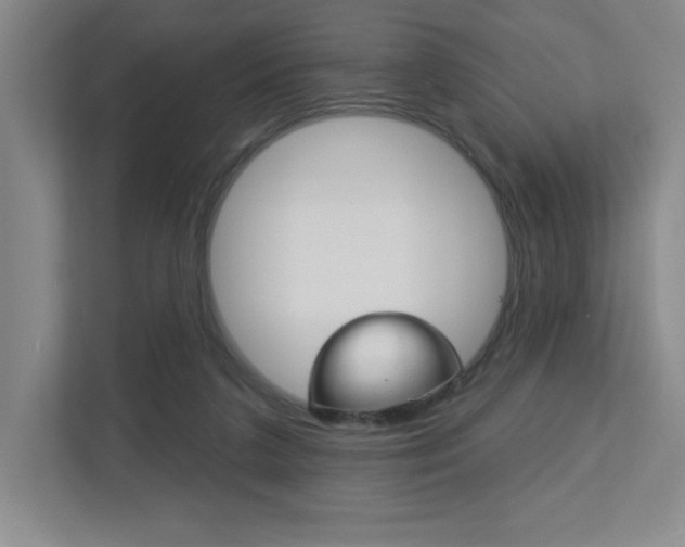 X0000113180211200909041001