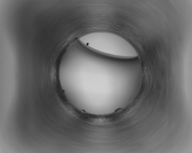 X0000113180212200909041001