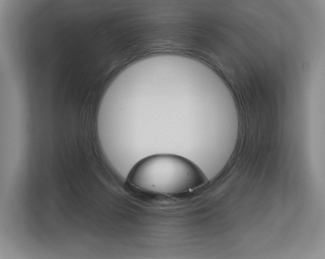 X0000113180215200909041001