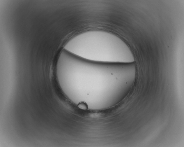 X0000113180216200909041001