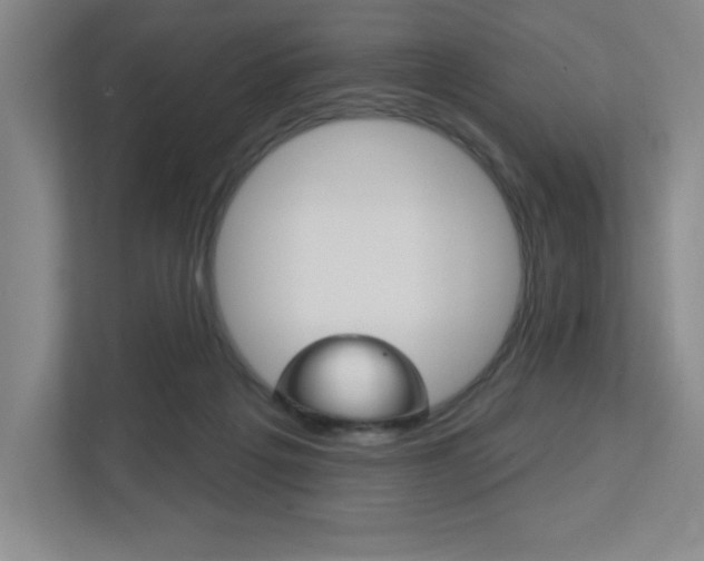 X0000113180217200909041001