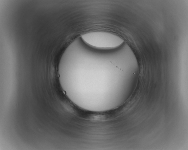X0000113180220200909041001