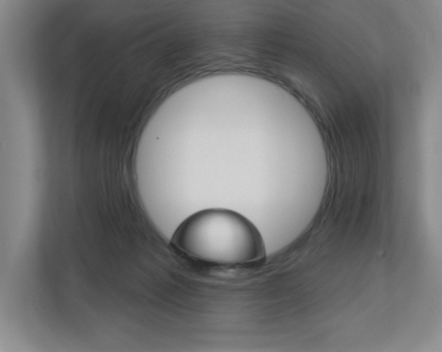 X0000113180221200909041001