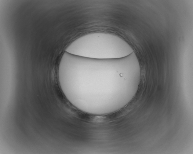 X0000113180222200909041001