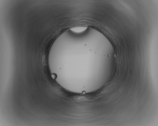 X0000113180224200909041001