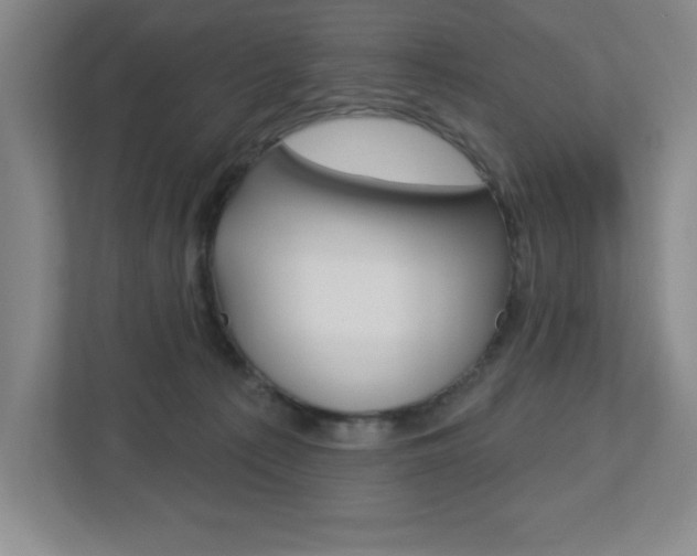 X0000113180225200909041001