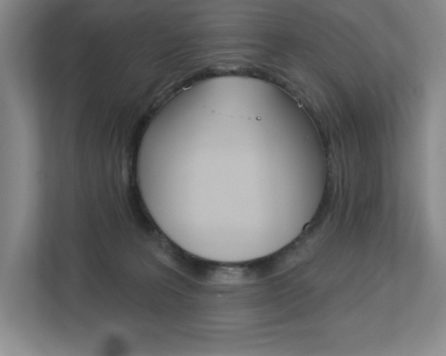 X0000113180227200909041001