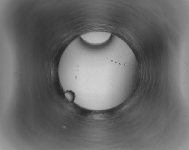 X0000113180228200909041001