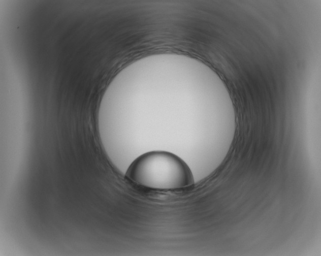 X0000113180229200909041000