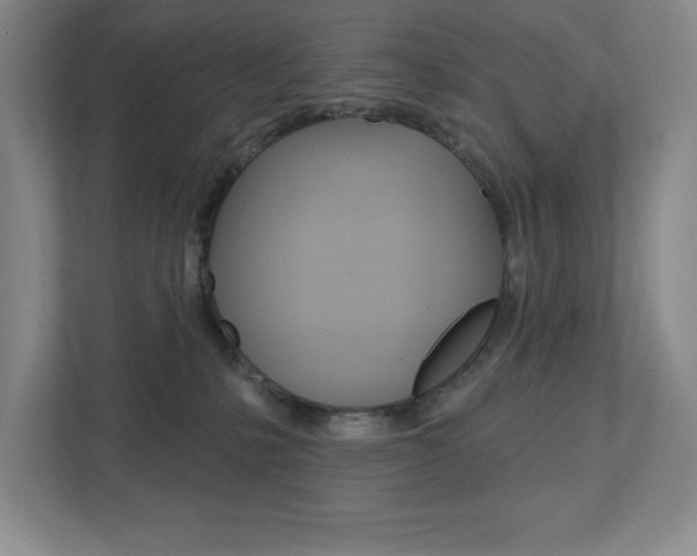 X0000113180231200909041000