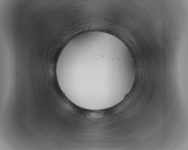 X0000113180232200909041000